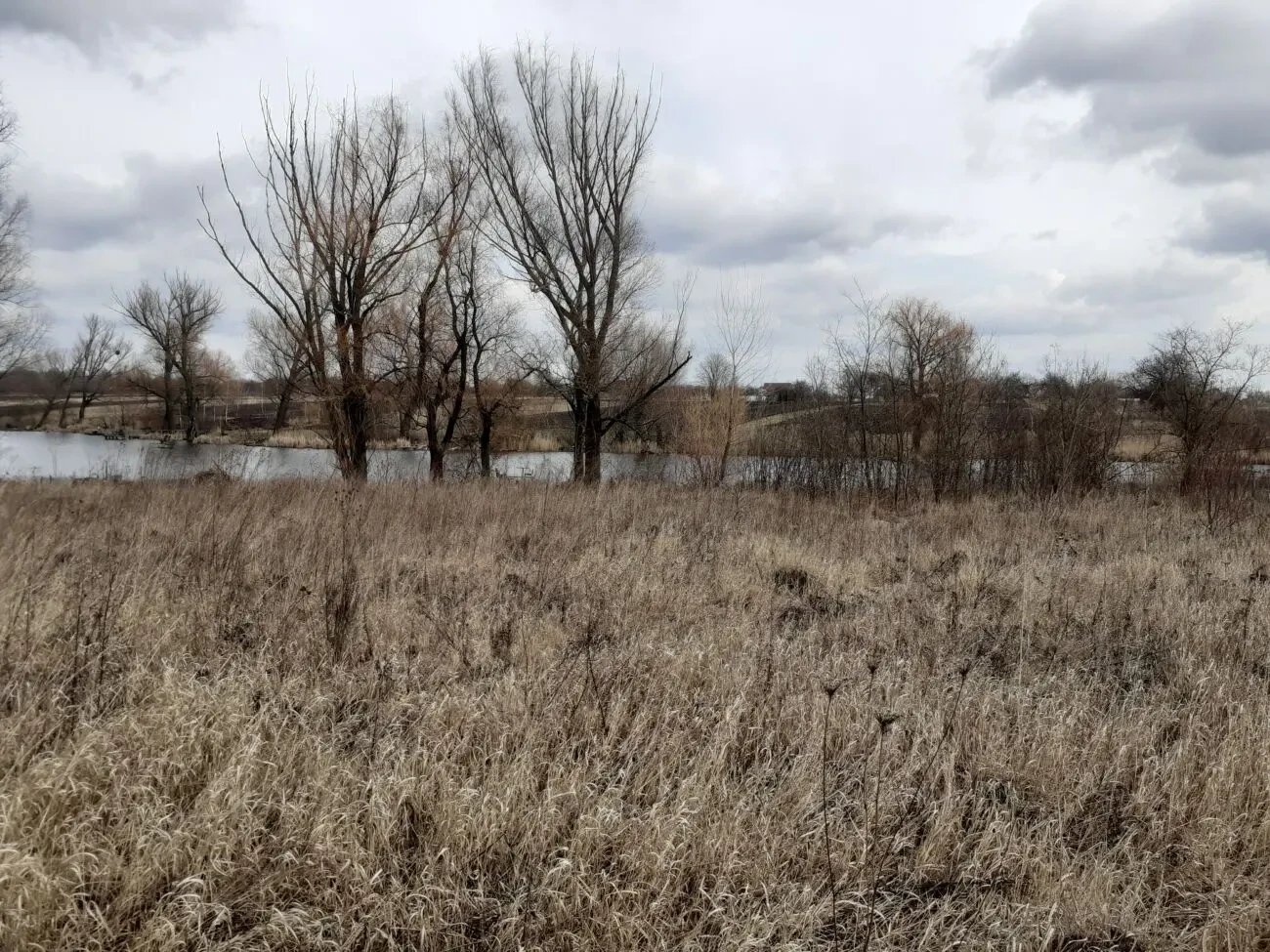 продам земельну ділянку с.Горохове Київська обл. 8