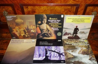 Виниловые пластинки RARE (CLASSIC Collection FRANZ SCHUBERT-II)//(7LP)