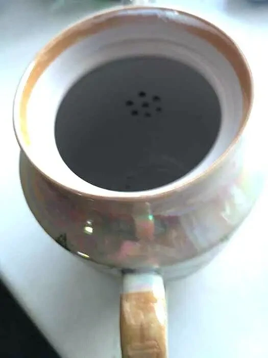 Для дачи сада огорода чайник заварочный перламутр 1 шт. и 2 крышки 9