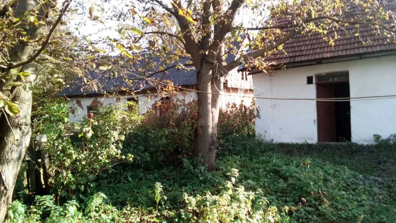 Продаж земельної ділянки сільськогосподарського призначення, площа 16 3