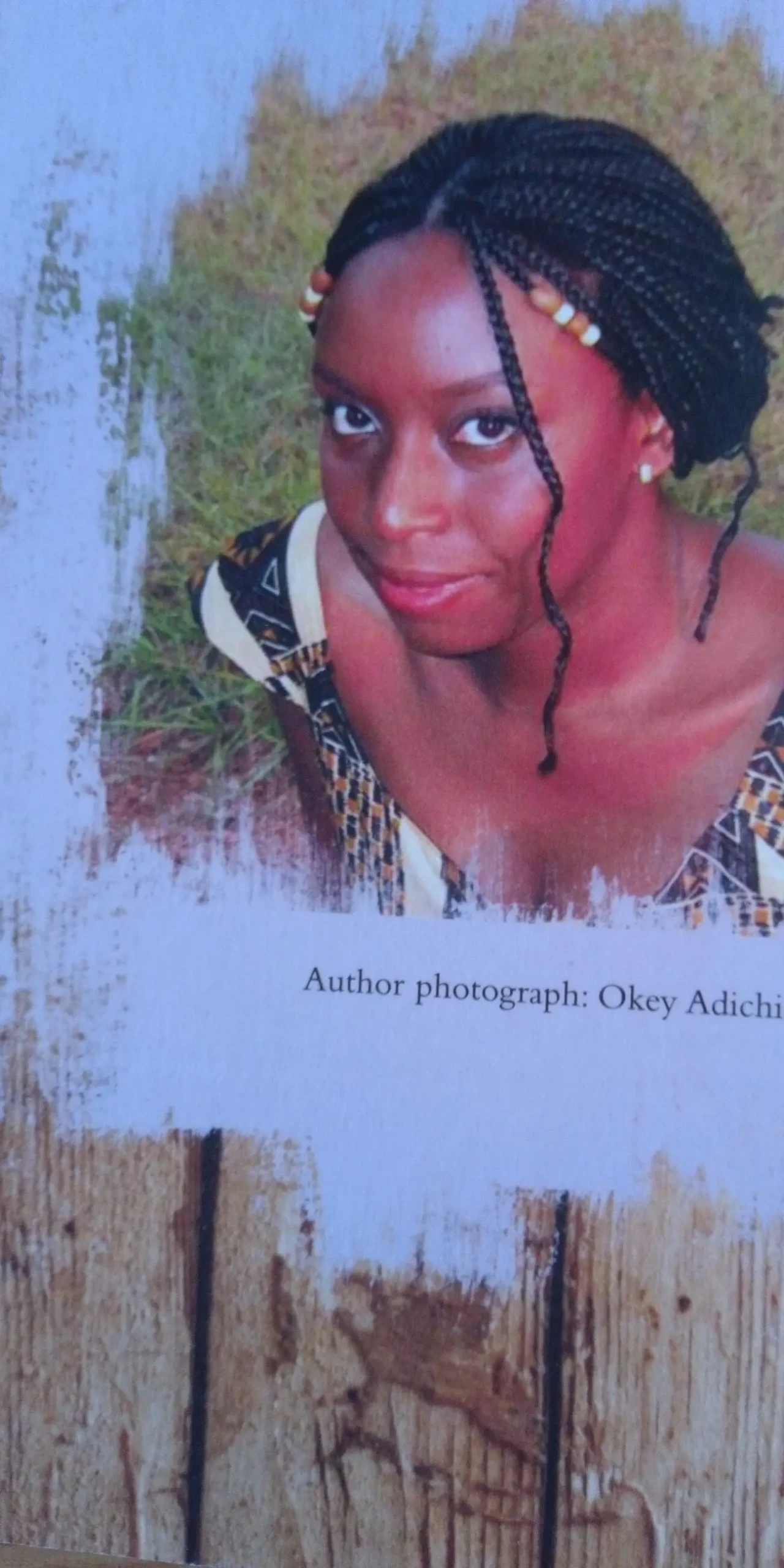 Half of A Yellow Sun Chimamanda Ngozi Adichie English на Английском 2