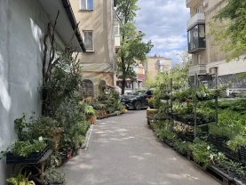 Продам 2 кімн. квартиру, сталінка, житловий стан. Центр міста