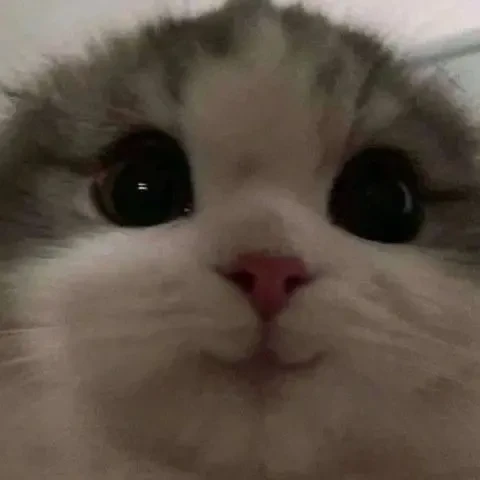 Перекладаю тексти