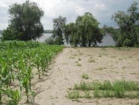 Продам будинок на березі Дніпра власний берег