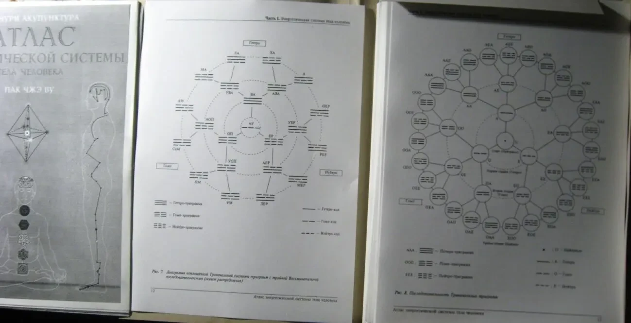 Книга оннури акупунктура точки атлас системы тела человека. пак чжэ ву 2