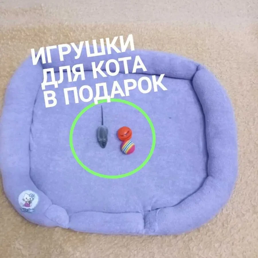 Лежанка для домашнего питомца