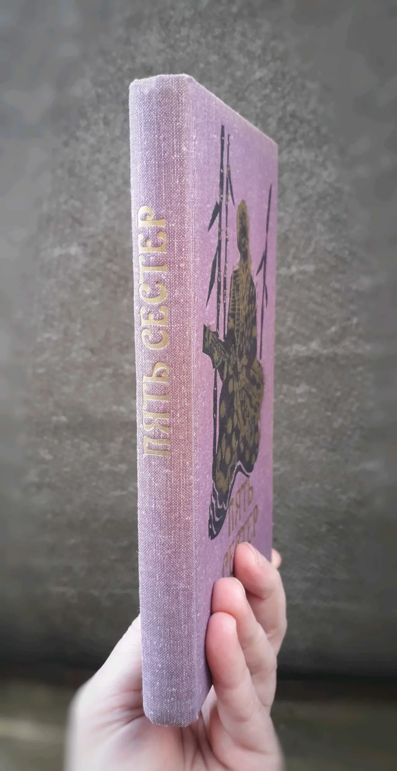Редкая книга Индия Пенджаб история литература 2
