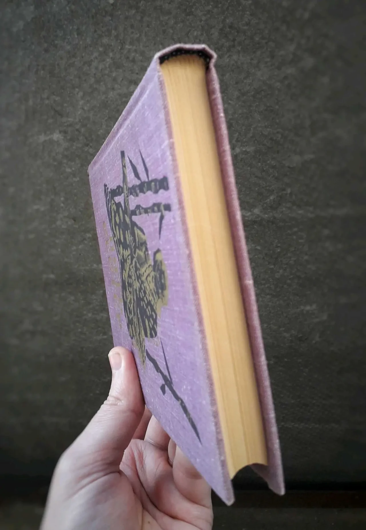 Редкая книга Индия Пенджаб история литература 3