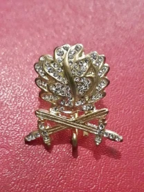 Золотые дубовые листья рыцарский знак