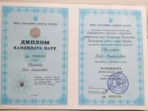 Англійська мова. Тьютор для вашої дитини. 3