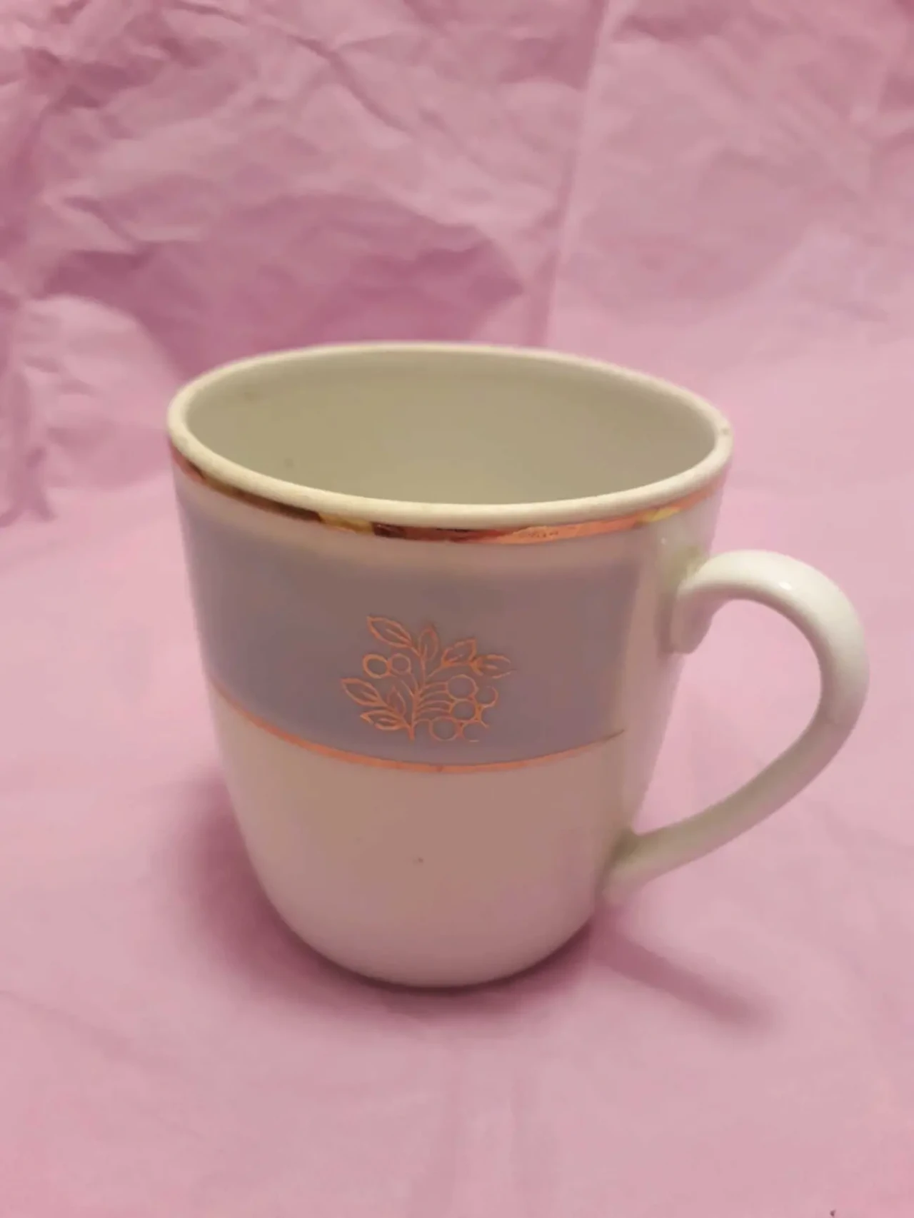 Редкая чашка кофейная фарфор Полонное