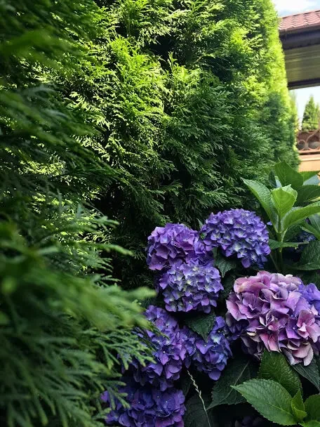 Продаж,Будинок з власним виходом на озеро 10