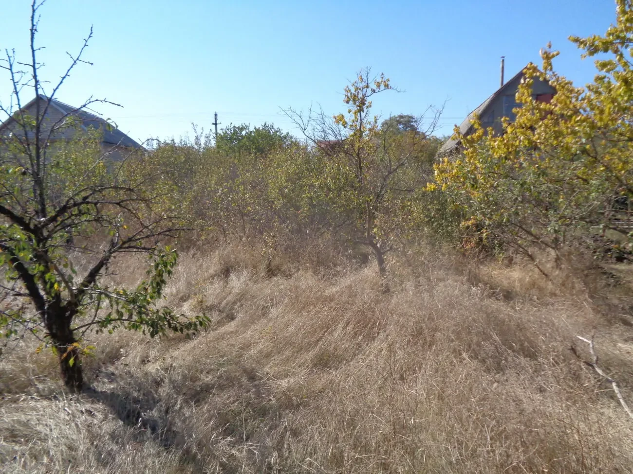 Садовый дачный земельный участок дача земля огород сад 7