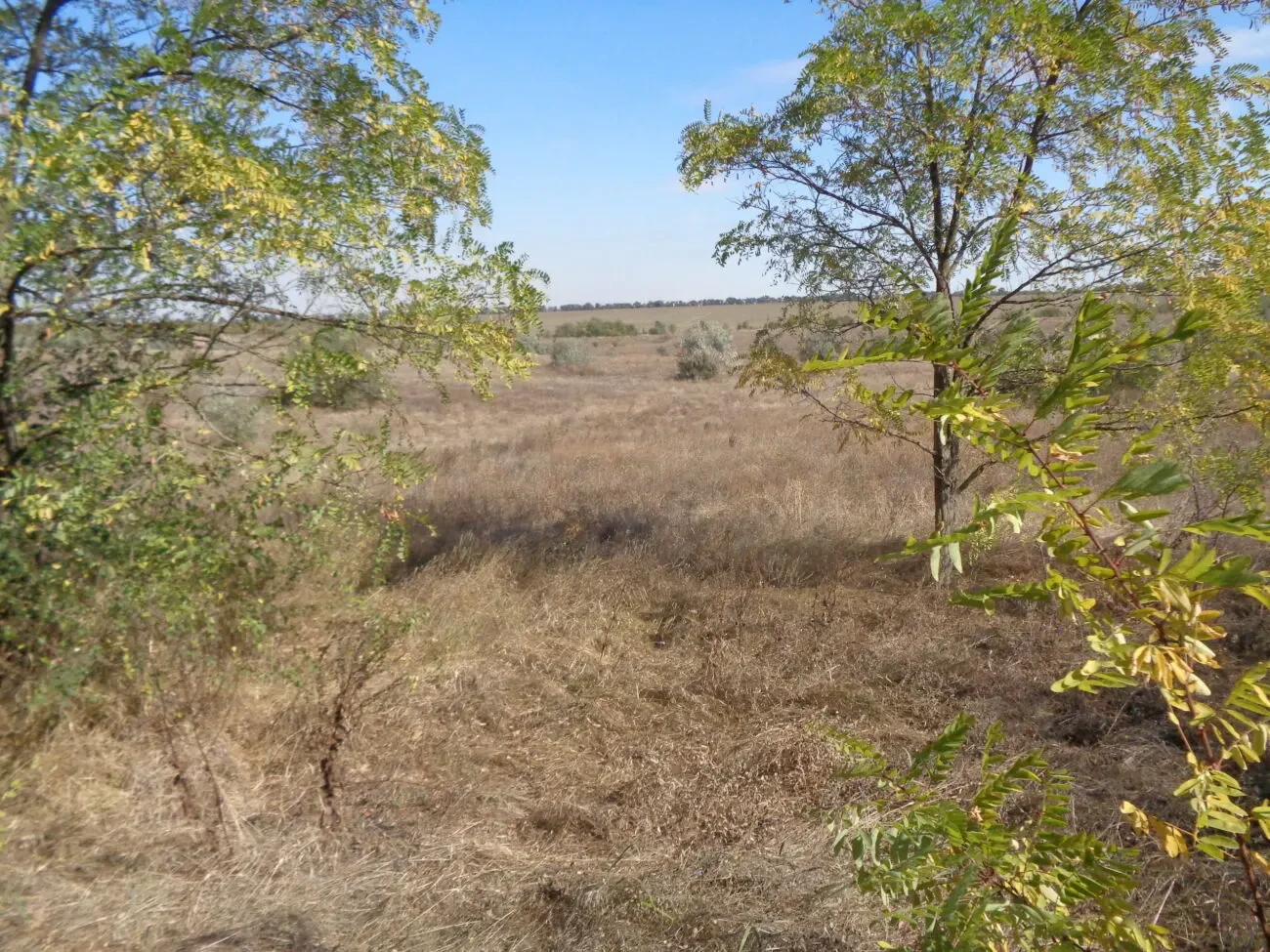 Садовый дачный земельный участок дача земля огород сад 8