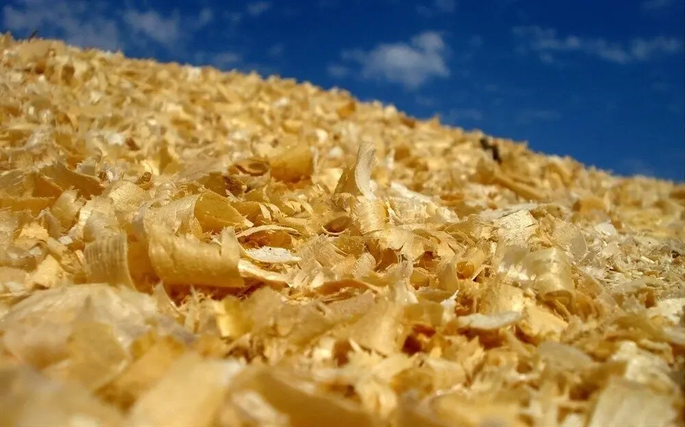 Купуємо тирсу