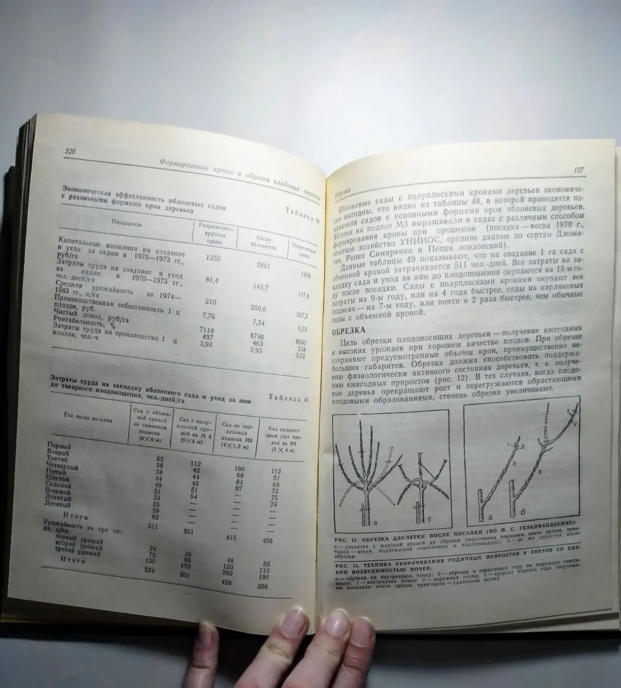 Книга справочник бригадира садовода, зуев, 1989 г., 272 с. 6