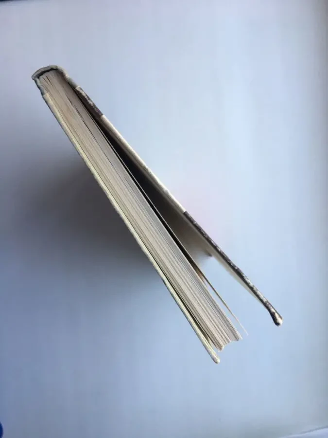 Іван Підкова. історичний роман з XVI століття. Стецюк Яків 5