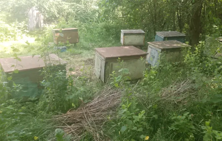 Улей для пчёл б/у 8шт 3