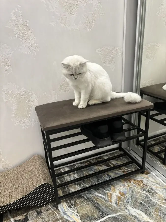 Банкетка LOFT 80см 4