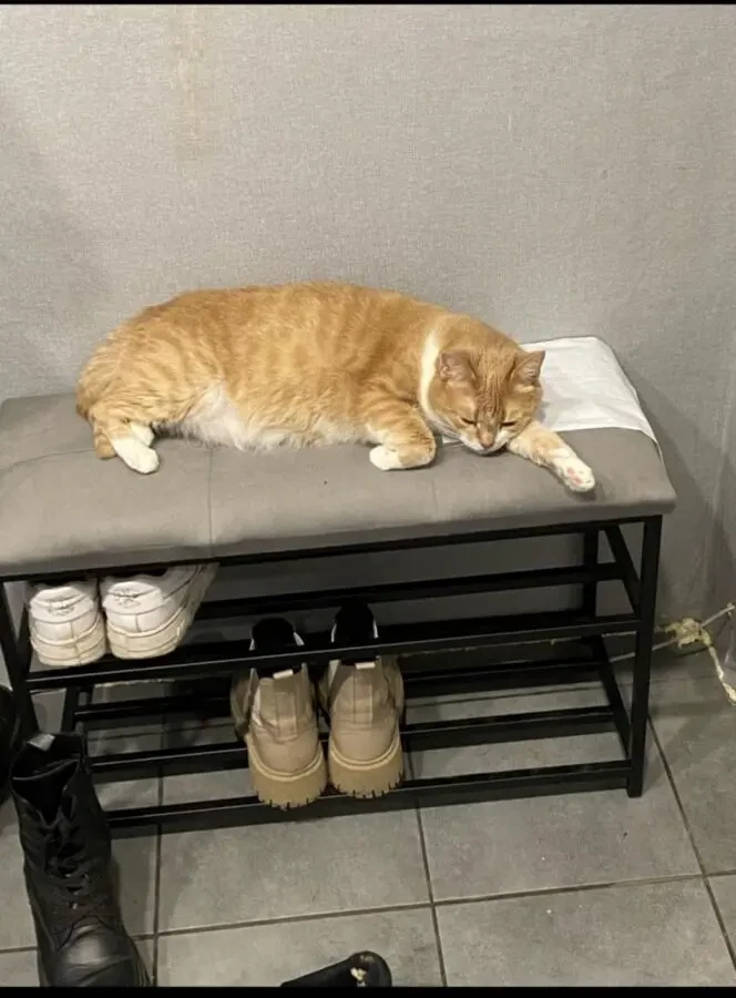 Банкетка LOFT 80см 6