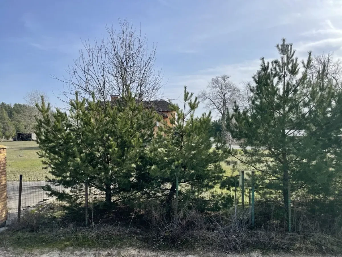 Продам ділянку 0.2279 га під забудову, с.Богданівка, Київська область 9