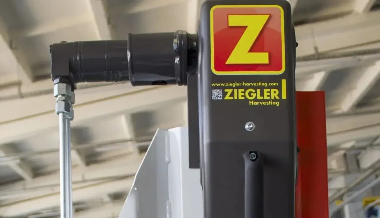 Ріпаковий стіл 4