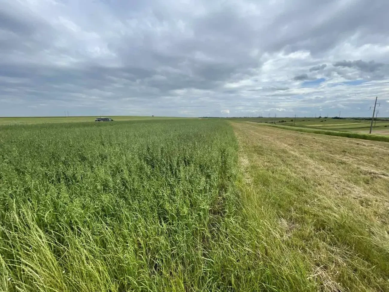 продам земельну ділянку 4