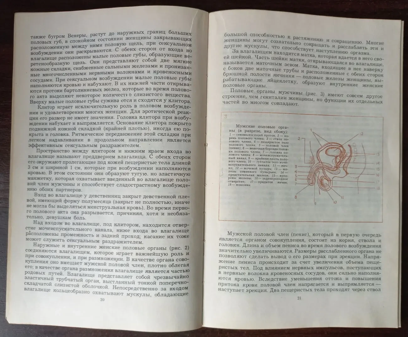 Сексуальная гармония супружеской пары. Кришталь В.В. 3