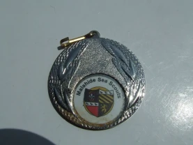 Медаль вес 30 гр диаметр 5 см. награждения 2005 года.