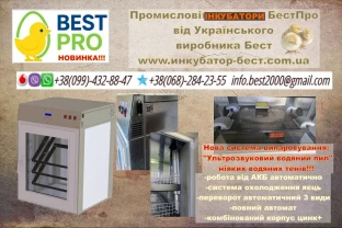 інкубатор для яєць БестПРо-500акб