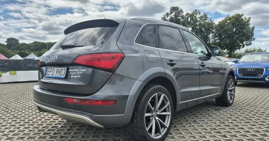 audi Q5 авто на єврономерах 4