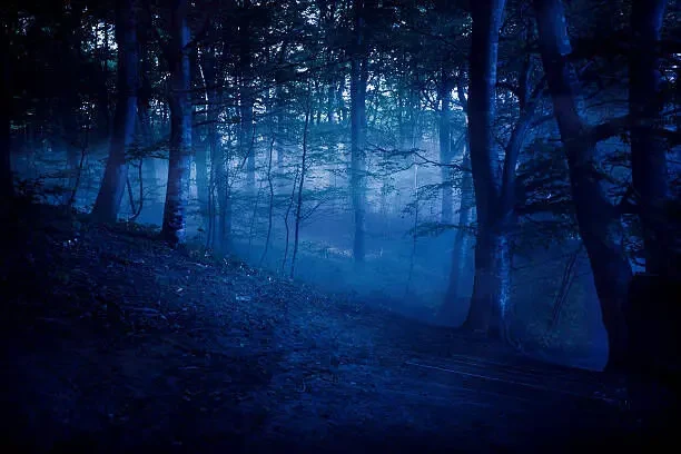 Ясновидение Гадание Будущее Экстрасенс Парапсихолог viber971291597 2