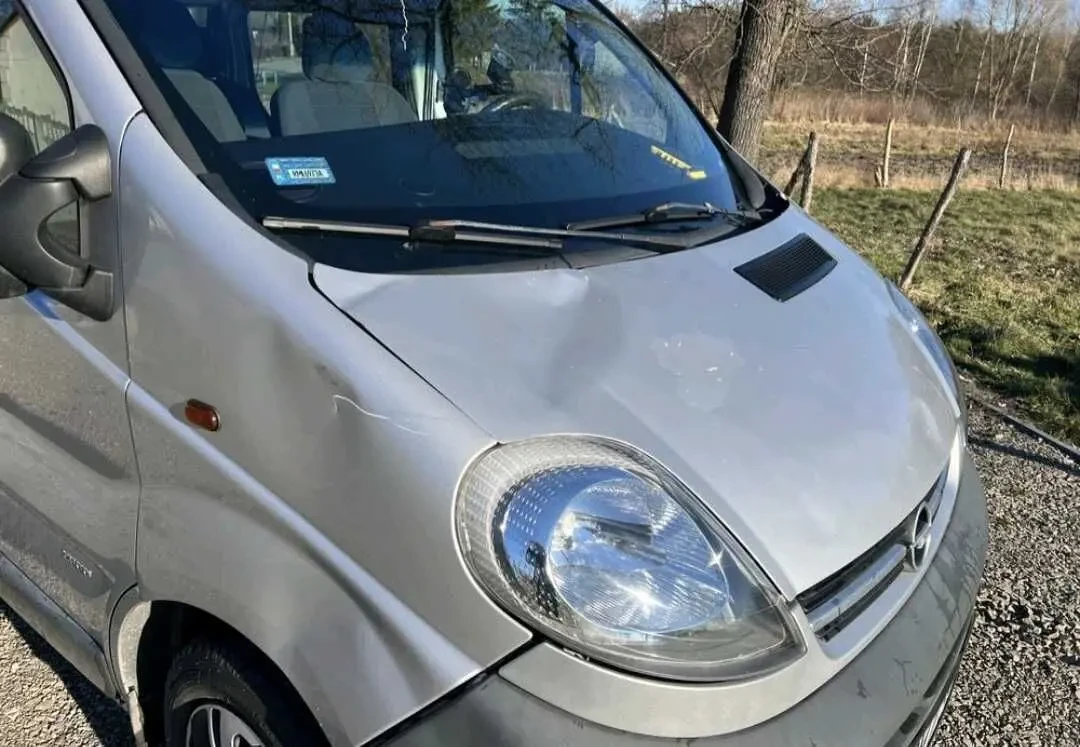 Бусик Opel Vivaro 2