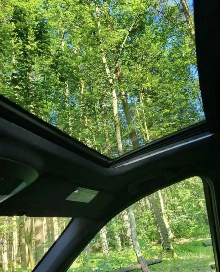 Mercedes ML авто на єврономерах 8