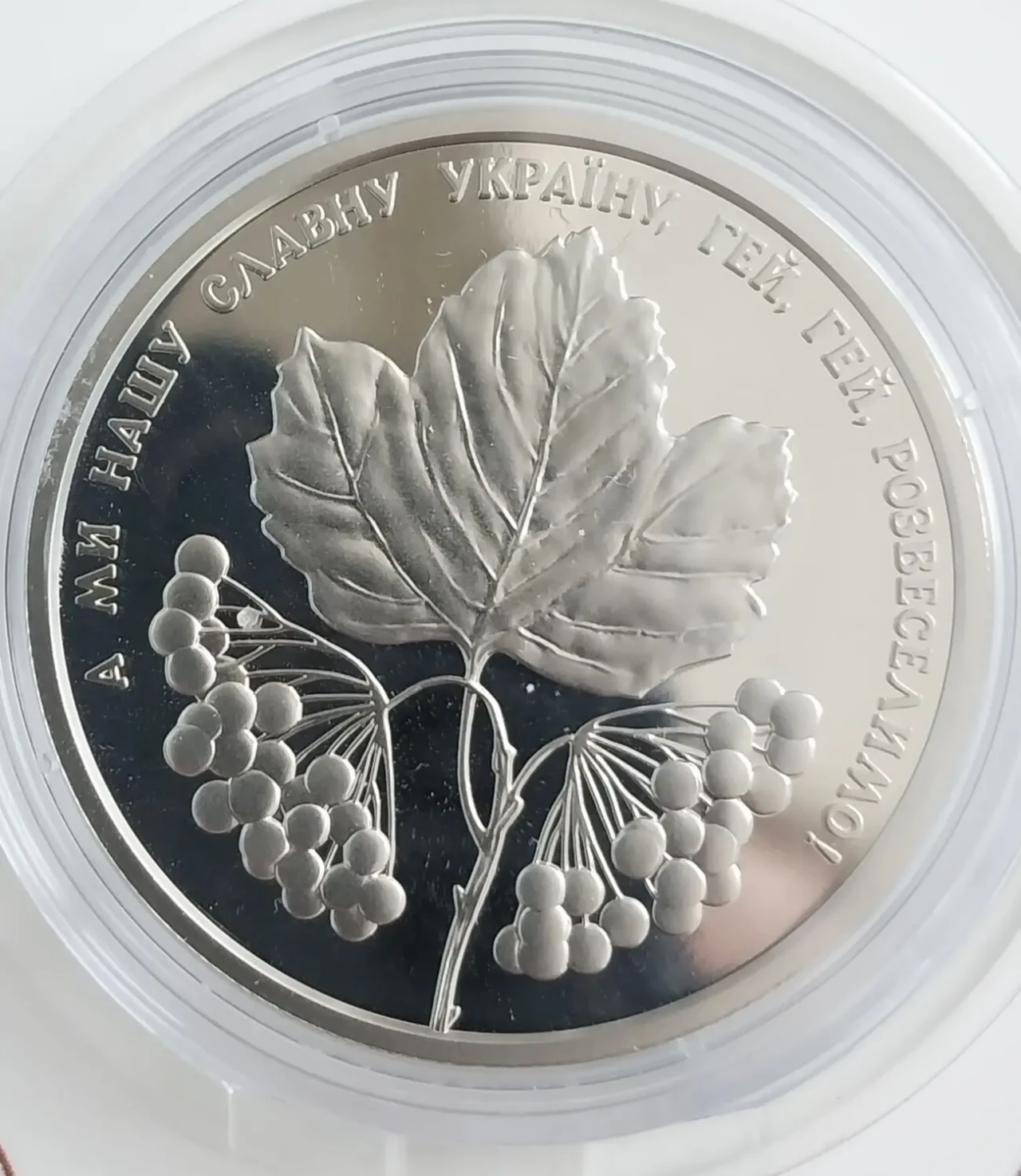 Памятні монети України з нейзильберу в капсулах 3