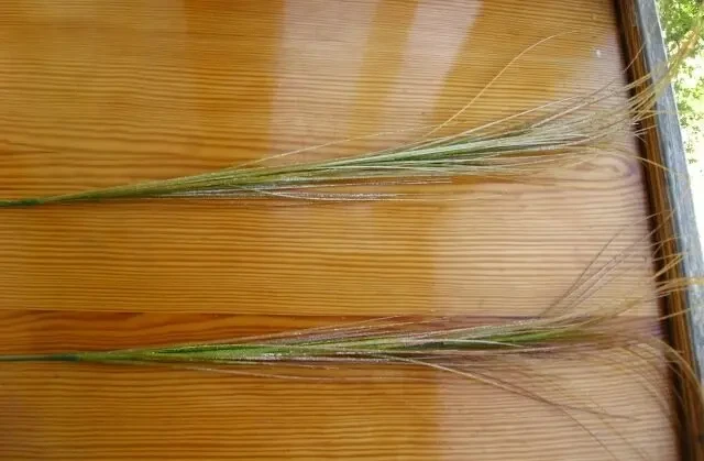 Набор декора мини искуственные растения цветы букеты пластик 2