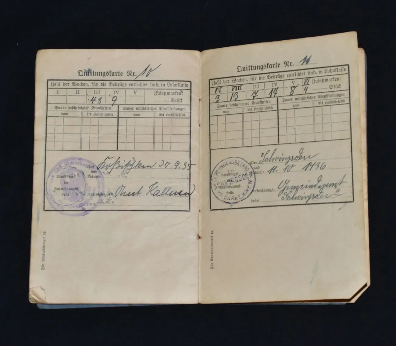 Страховой документ 5