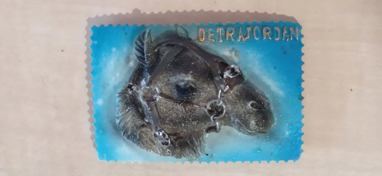 Сувенірний магніт DETRAJORJAN 4