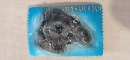 Сувенірний магніт DETRAJORJAN