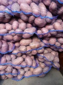 Картопля оптом різних сортів