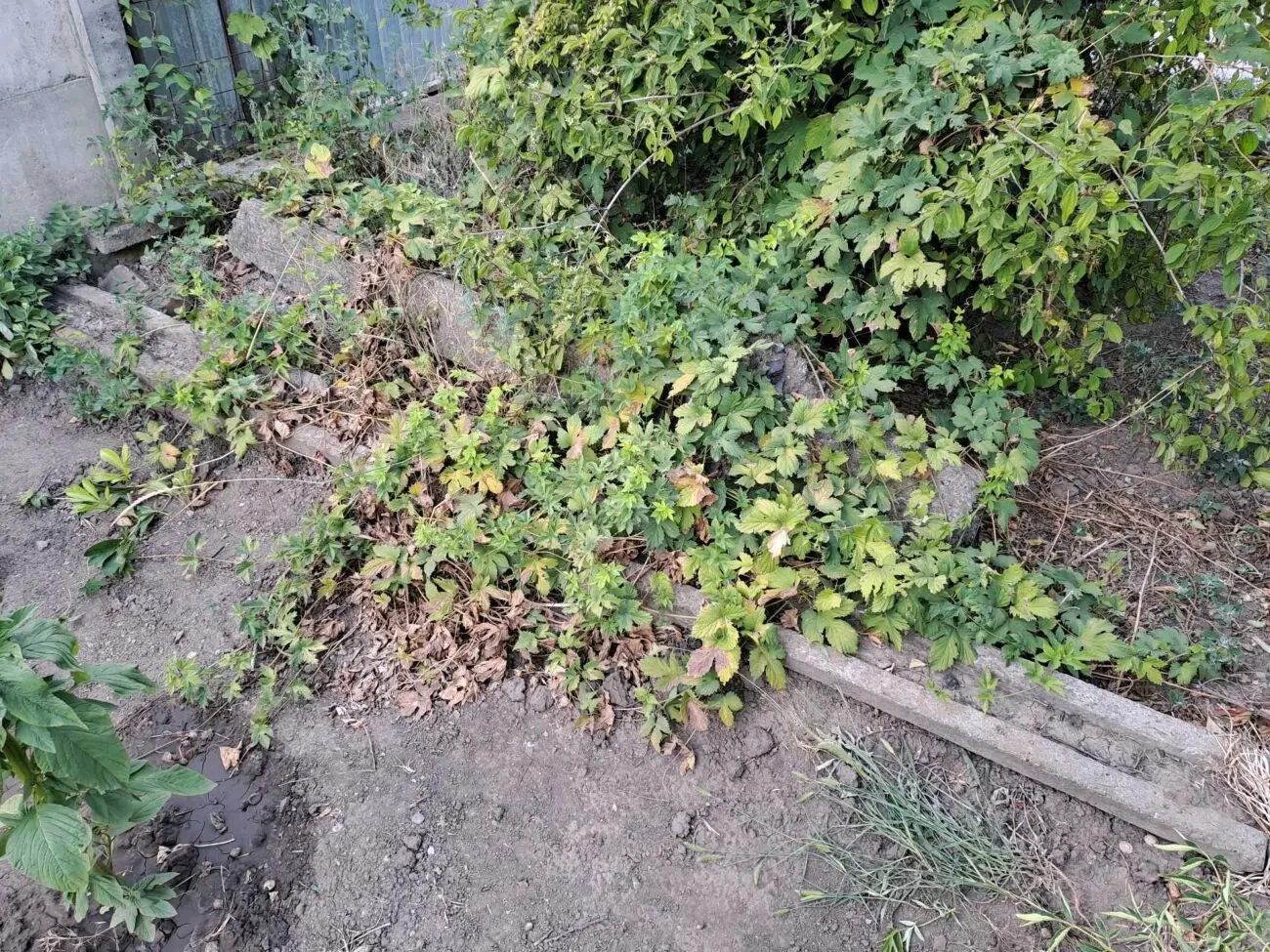 Сваи для установки забора 8