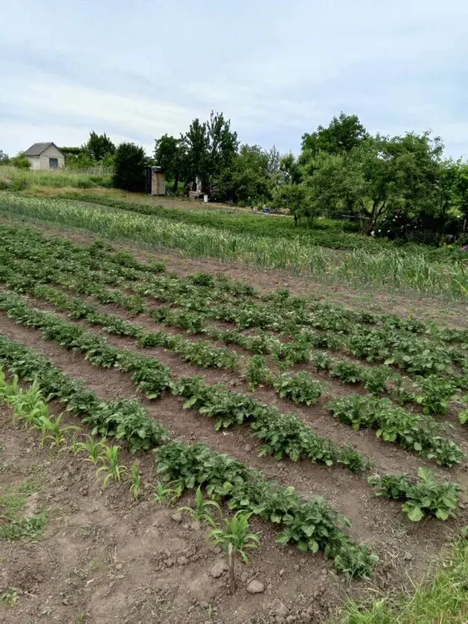 Земельна ділянка з будинком 5