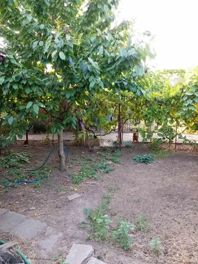 продам будинок