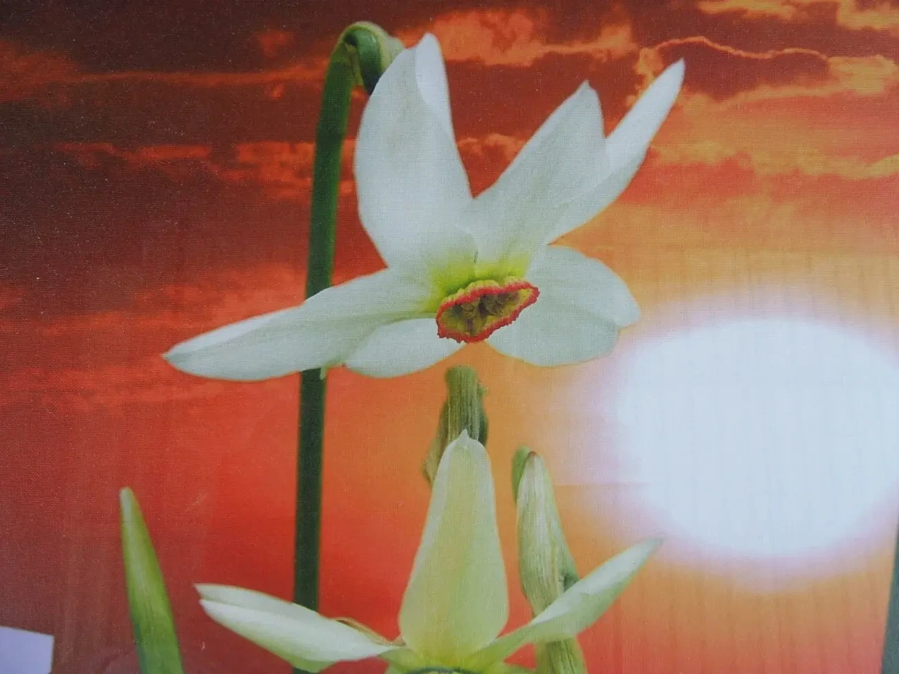 Закарпатская школа авторська робота к.м. раз. 70 х 50 см. 1996 г. Ужг 2