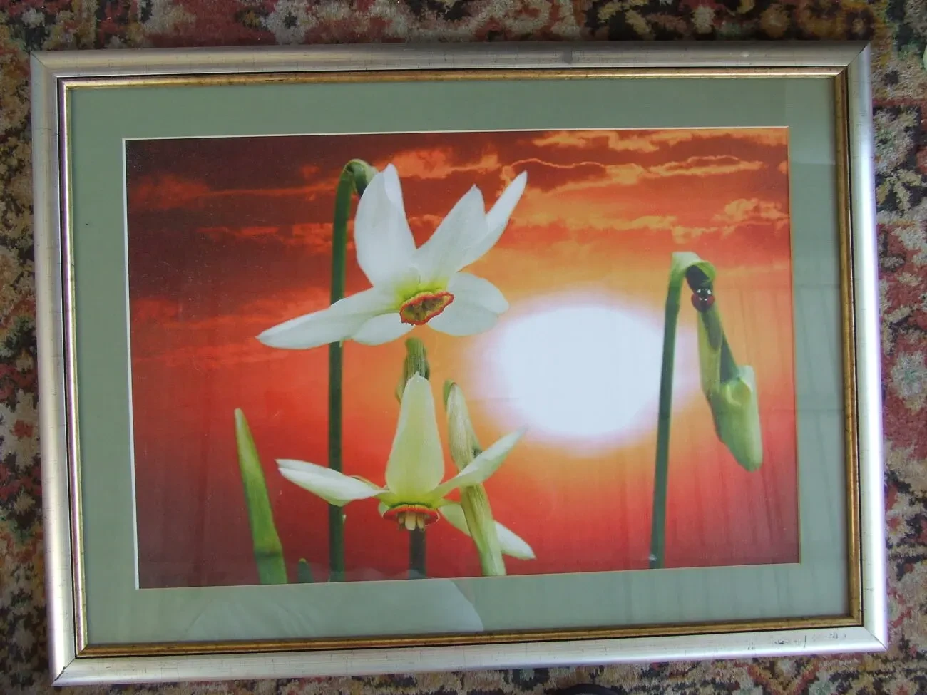 Закарпатская школа авторська робота к.м. раз. 70 х 50 см. 1996 г. Ужг