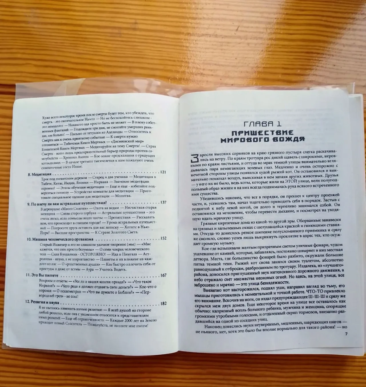 Книга лобсанг рампа, главы жизни. торг 4