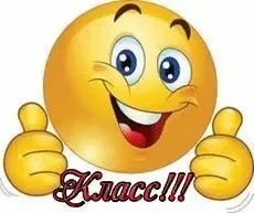 Сумка Минольта для фототехники. 7