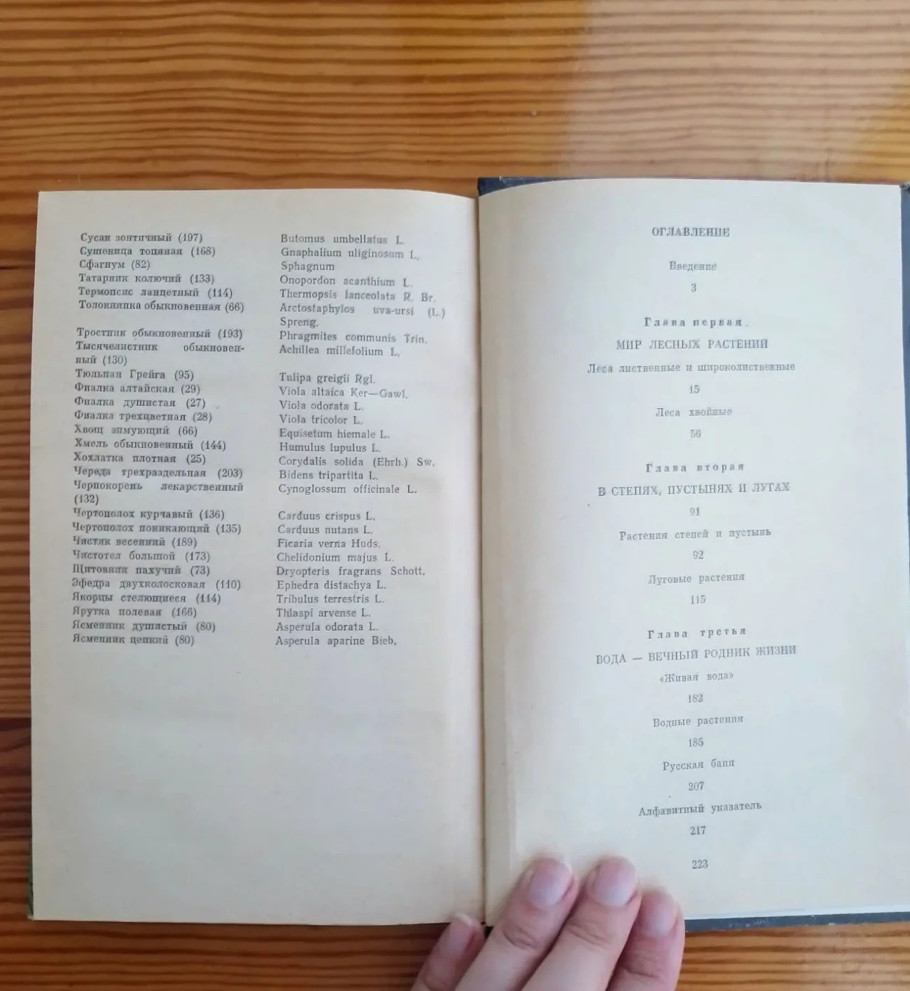 Книга свиридонов родники здоровья полезные человеку растения. биология 3