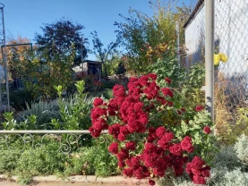 Продаю полдома с отдельным двором