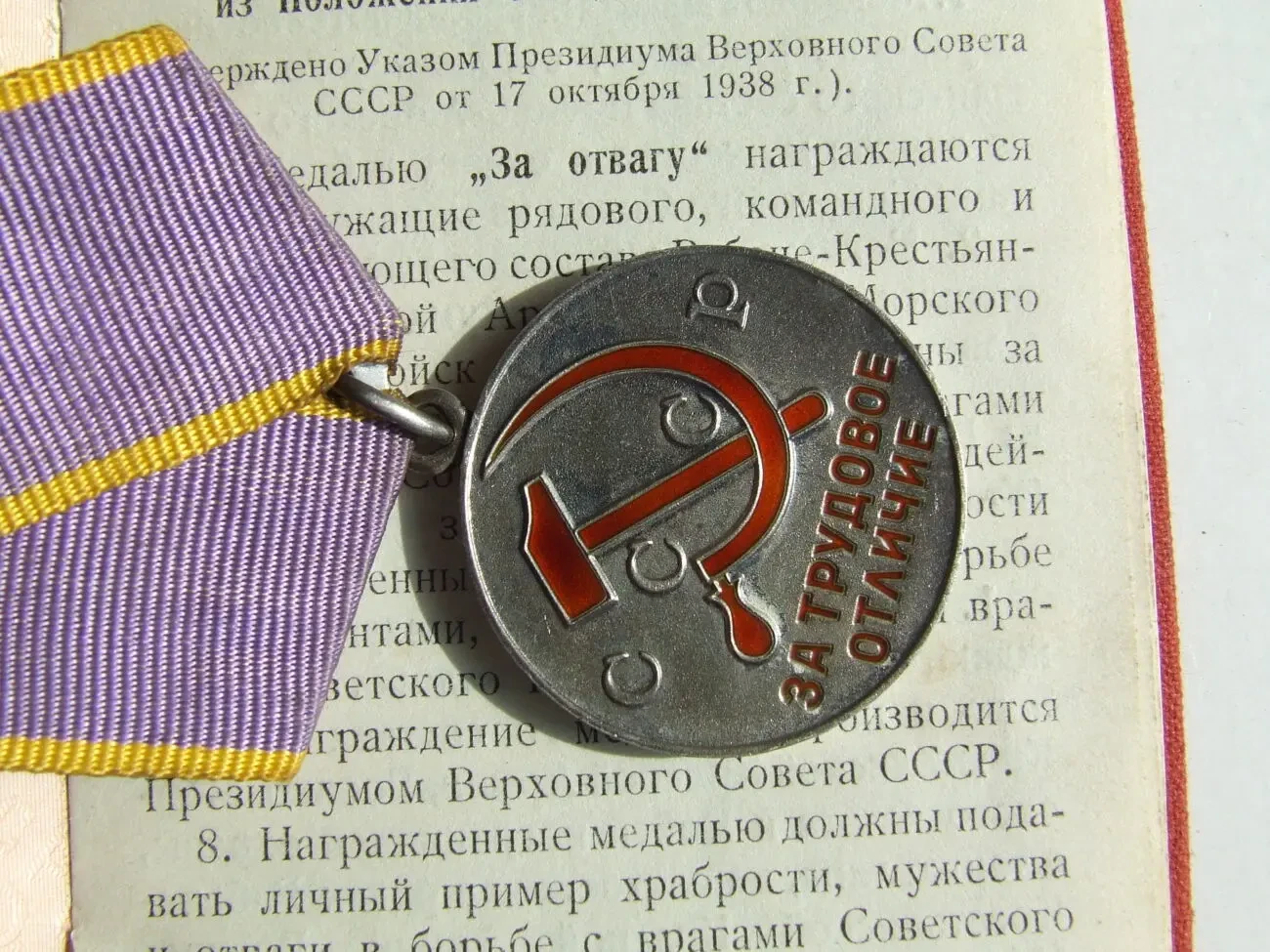 Медаль трудовое отличие награждения 1981 гг. на Фалько Н. И. 4